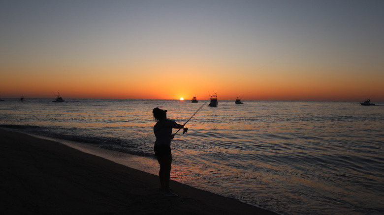 Casting for roosterfish at sunset