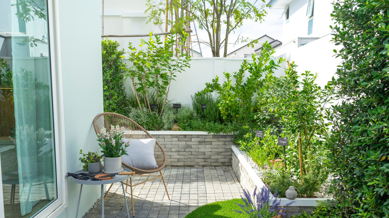 Small-walled patio with a raised micro herb garden