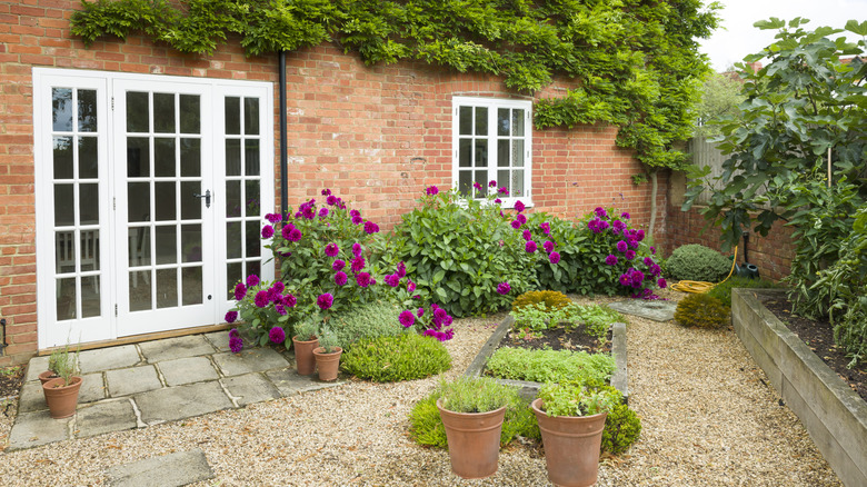 Brick house with small walled garden