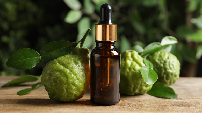 Bergamot essential oil in a bottle with a dropper and the bergamot fruit behind the bottle