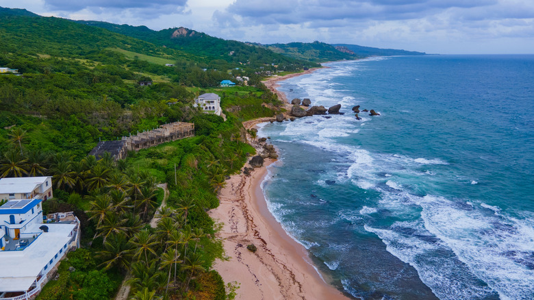 Bathsheba Beach and Natural Park in Barbados