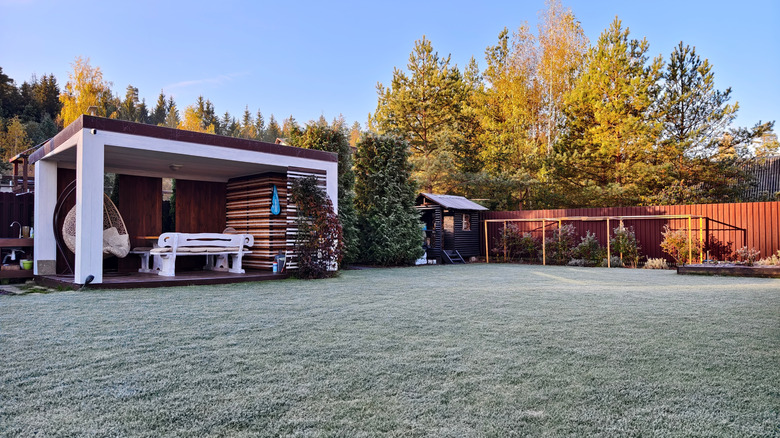 frost covered backyard