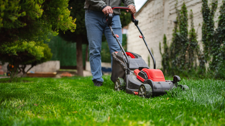 mowing lawn in cool weather