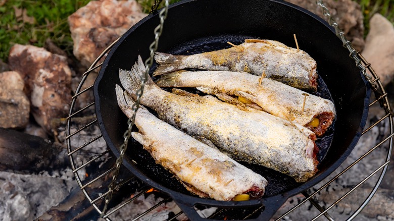 Four fresh trout in a cast iron skillet over a campfire