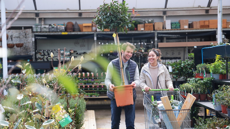 Couple walking through a plant center