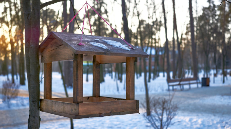 Empty bird feeder in snowy area