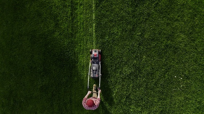 Overhead photo of man mowing large lawn