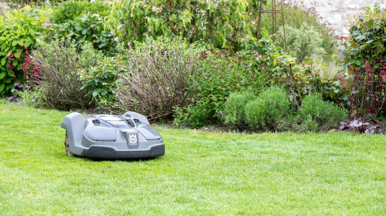 Robot mower in yard