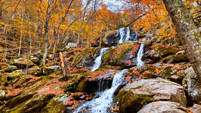 Fall in Shenandoah National Park