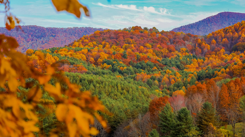 Fall foliage in Virginia's Appalachian mountains