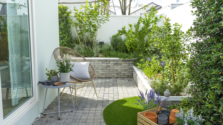 Small garden and patio
