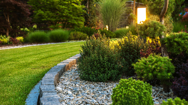 A garden with a professionally landscaped border, including clean bark mulch, tidy shrubs, and lighting