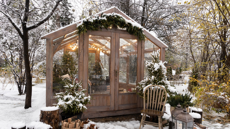 A wintery scene featuring a green house and snow