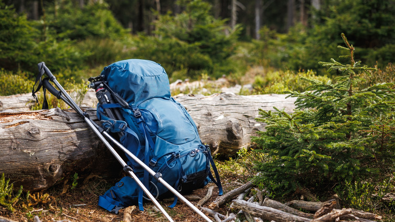 A hiking rucksack leaning against a fallen tree