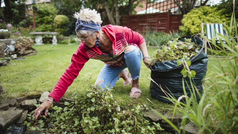 Woman weeding a garden