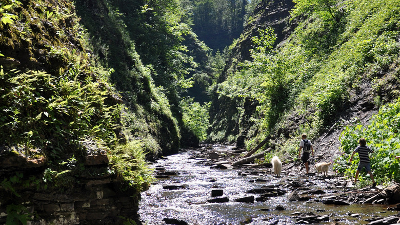 hikers walk through Whetstone Creek