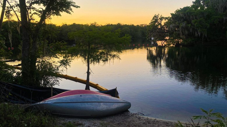 Kayaks on the edge of a lake