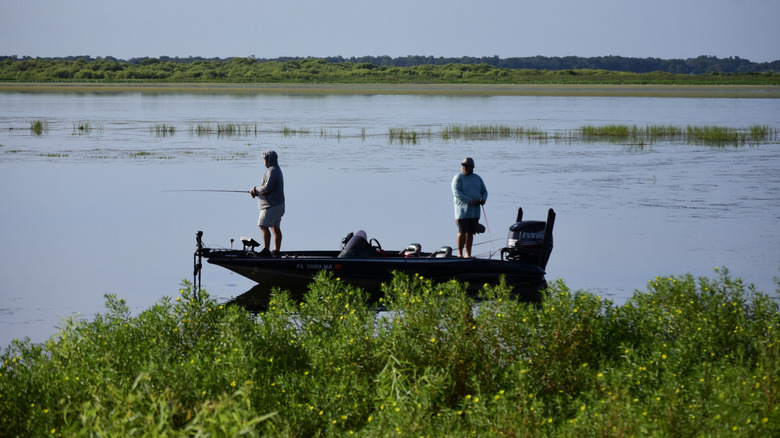 People fishing from a boat