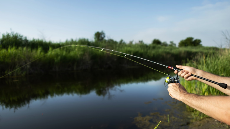 Man with rod and reel fishing in pond