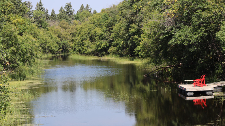 Dock on small pond