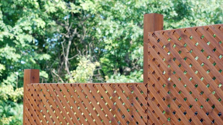 Wooden privacy screen with trees in the background