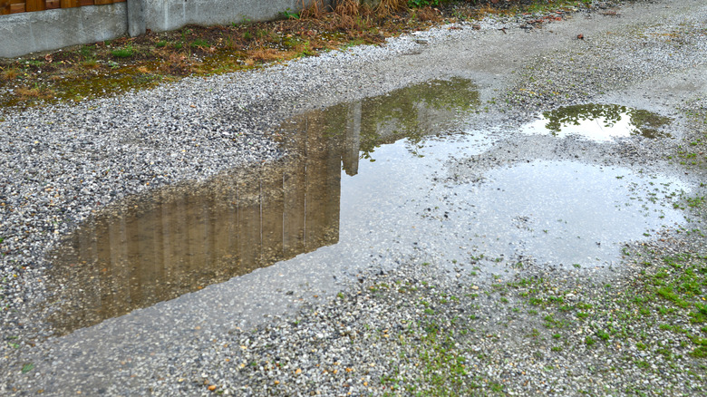 Potholes full of water in gravel driveway