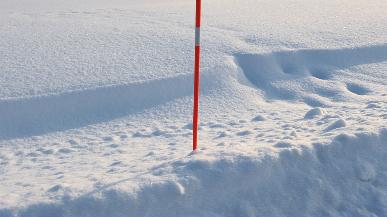 Driveway marker in the snow