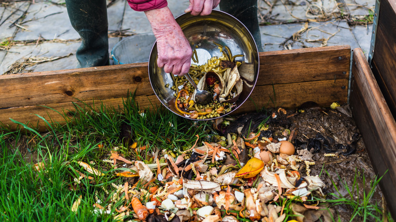 Pouring table scraps into a compost bin