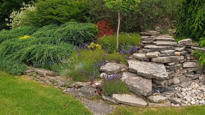 Dry creek bed in garden