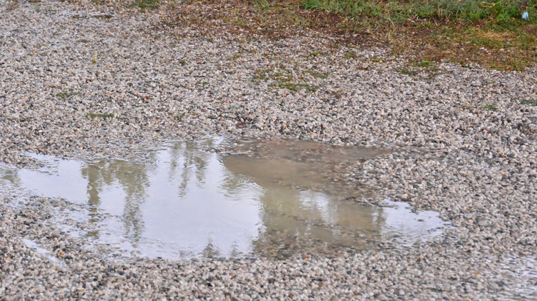 Water pooling in gravel