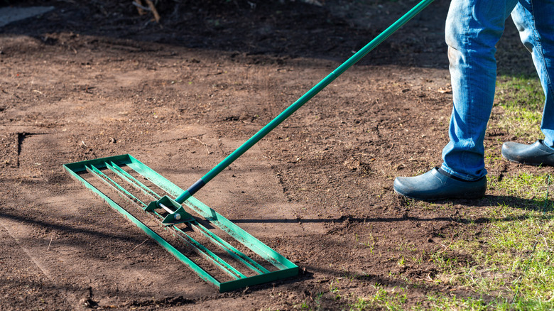 Person using a lawn rake to grade a lawn