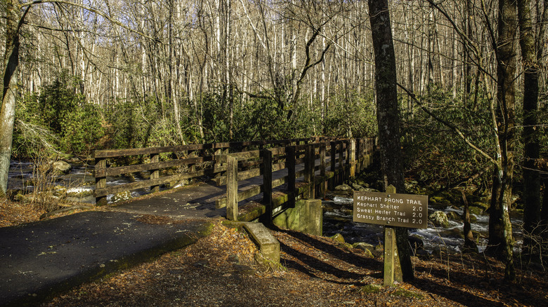 Pedestrian bridge in Great Smoky