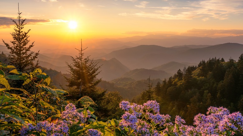 Great Smoky Mountains with sunset