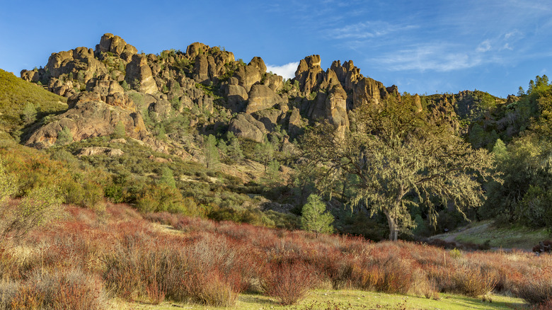 Pinnacles National Park in California