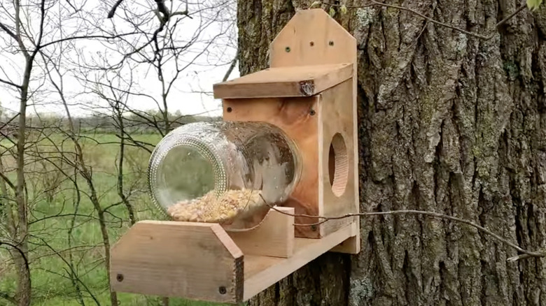 A squirrel feeder made out of wood and a mason jar