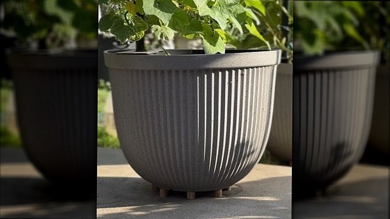 Garden planter with DIY cork feet