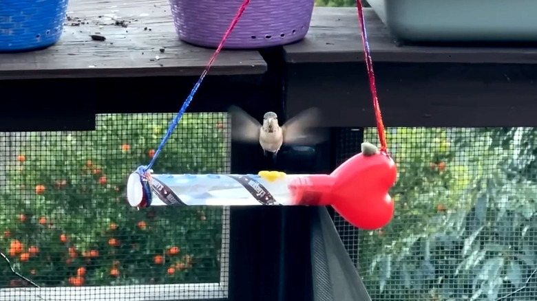 Turning a candy tube into a hummingbird feeder