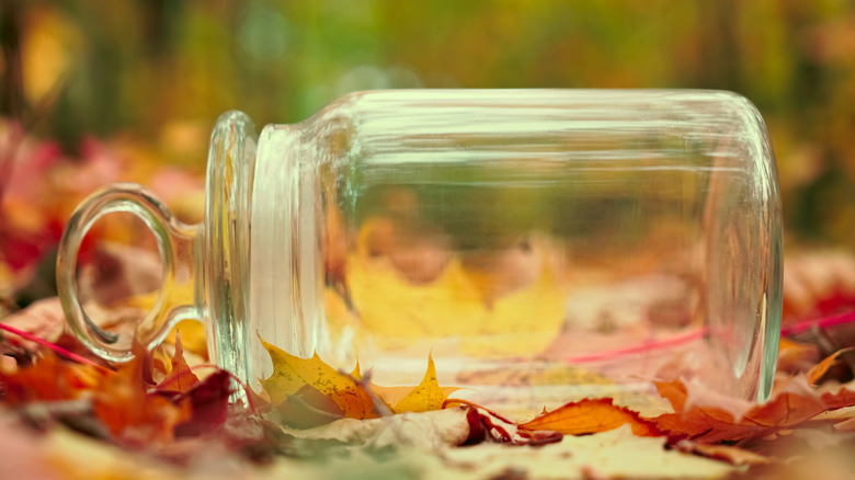 Empty candle jar on autumn leaves