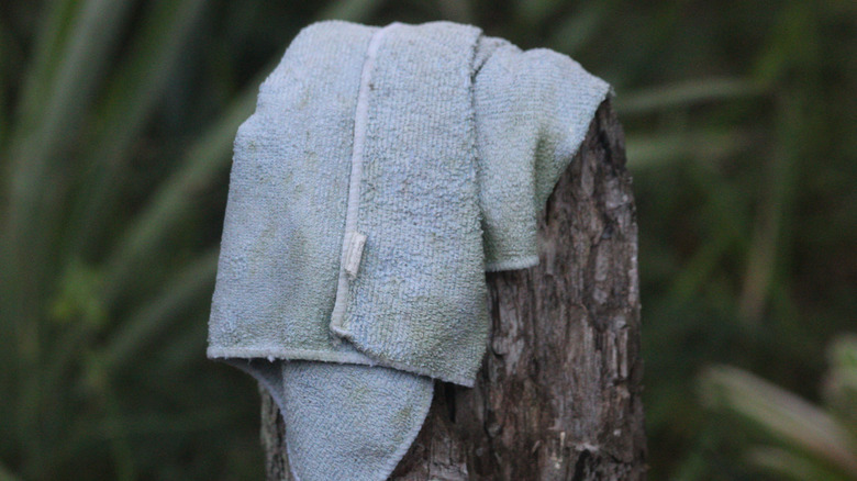 microfiber cloth on log outside
