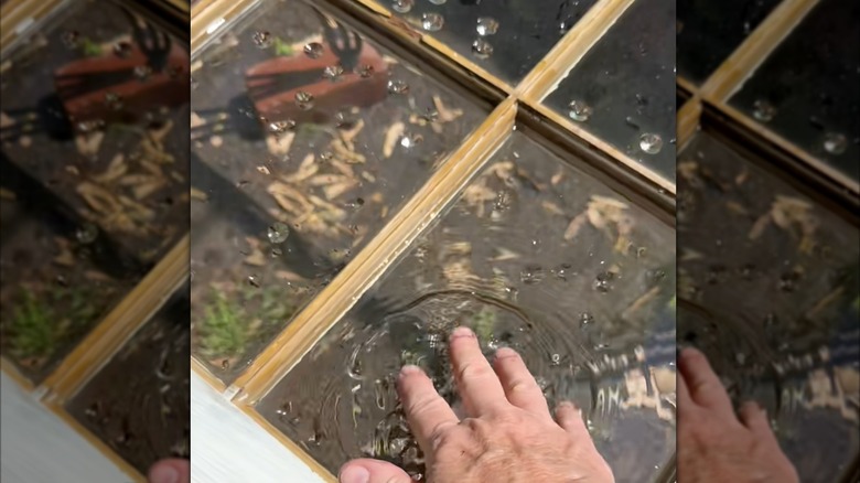 A shallow birdbath made from a six-pane window