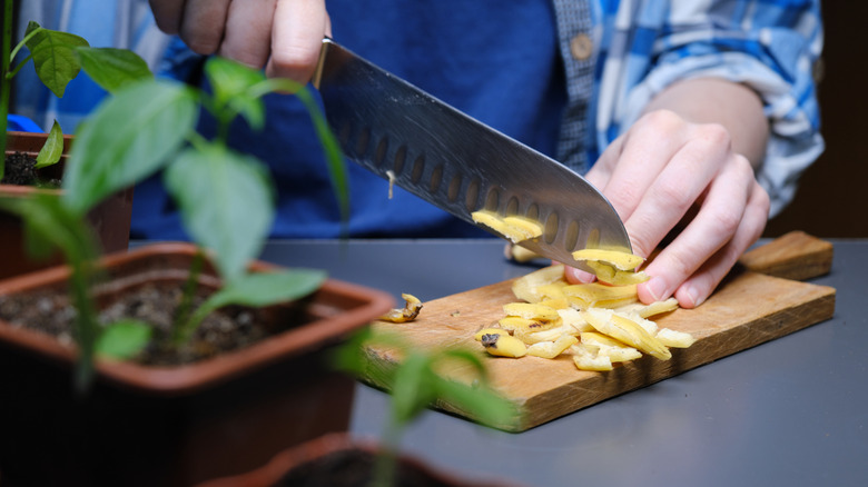 Person in a blue shirt chopping banana peels with a large knife.