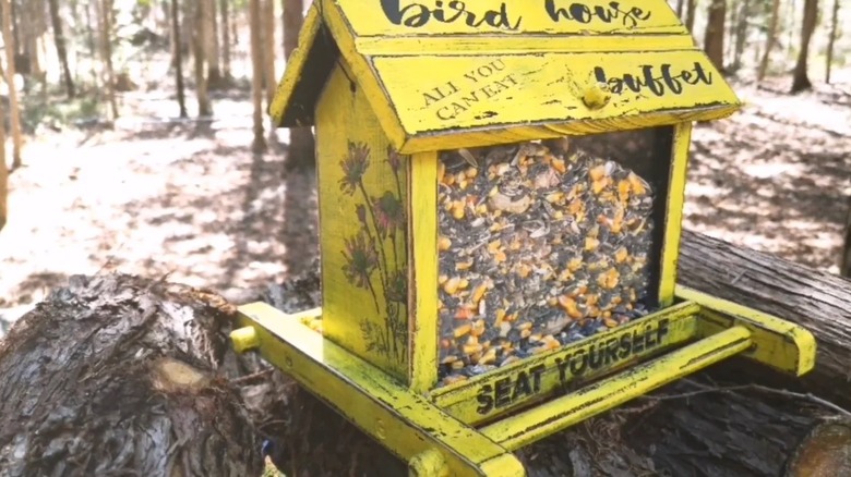 A DIY bird feeder made from a previously trashed bird house