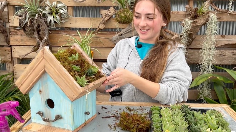 A woman transforms a birdhouse with a succulent roof