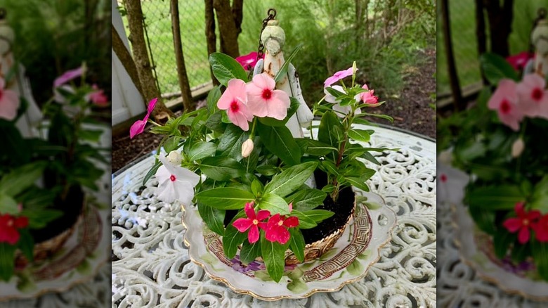 An old bird feeder repurposed as a tabletop planter