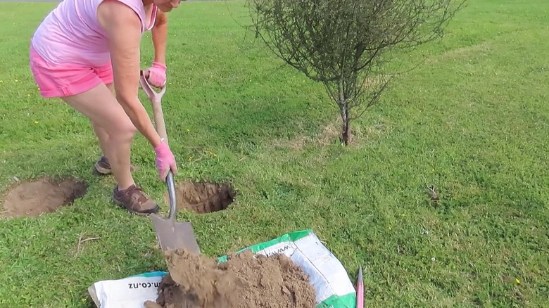 Person shoveling dirt from a hole onto an empty food bag on the lawn