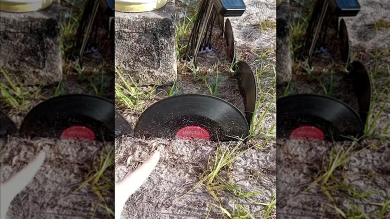 Woman using vinyl for garden border