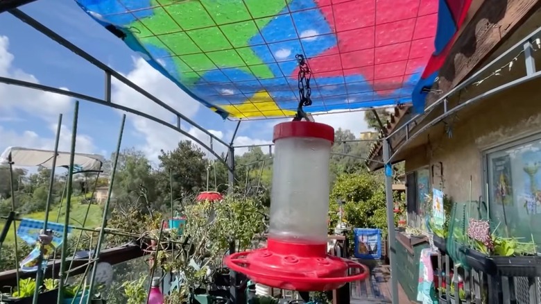 Hummingbird feeder with canopy