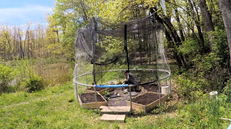 tutorial for repurposing trampoline into pest resistant garden