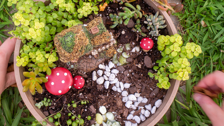 Adding pebbles to fairy garden planter