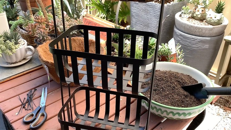 Empty shower caddy on gardening table
